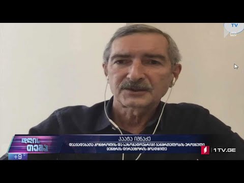 #კოვიდ19 გაუარესებული ეპიდვითარება - „დღის თემის“ შეკითხვებს პაატა იმნაძემ უპასუხა